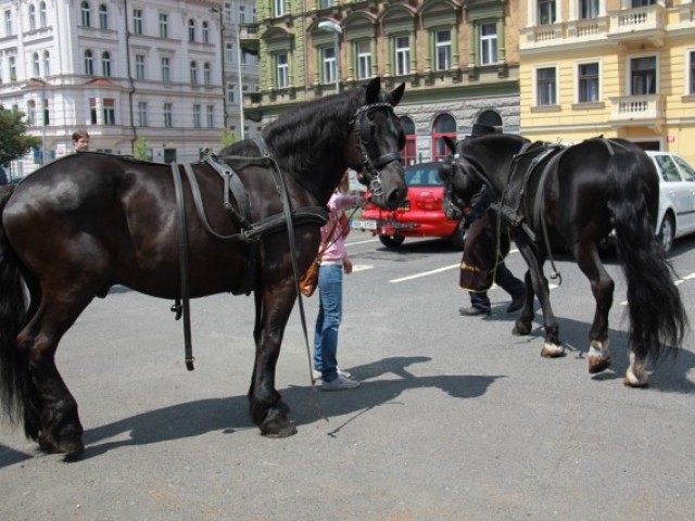 Příprava povozu-20