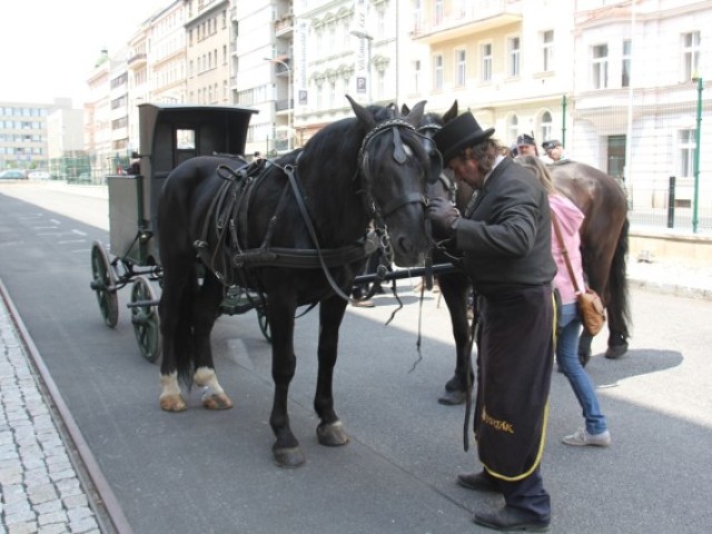 Příprava povozu-25