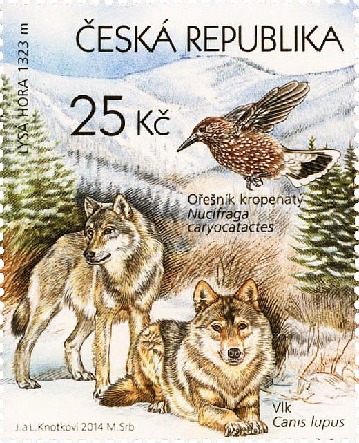 Ochrana přírody - Beskydy (vlci obecní, ořešník kropenatý) - Pof. č. 0817